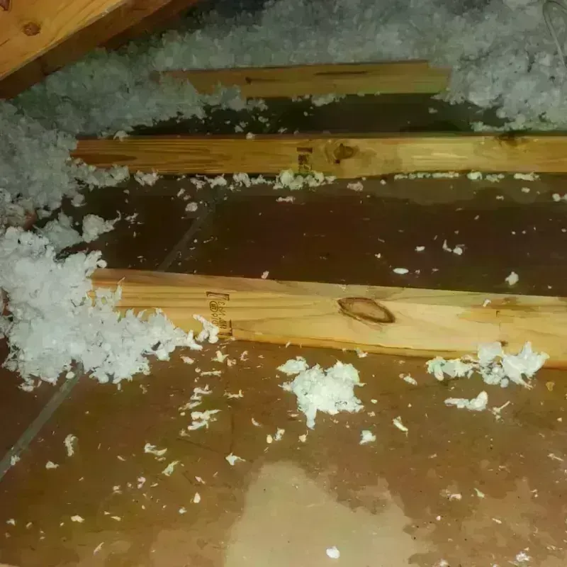 Attic Water Damage in Jarrell, TX